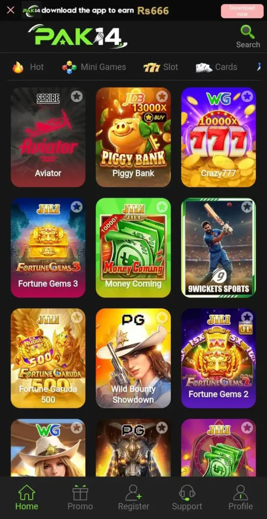Pak14 Game